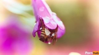 Male flower gets pistil pumped by dirty voyeur